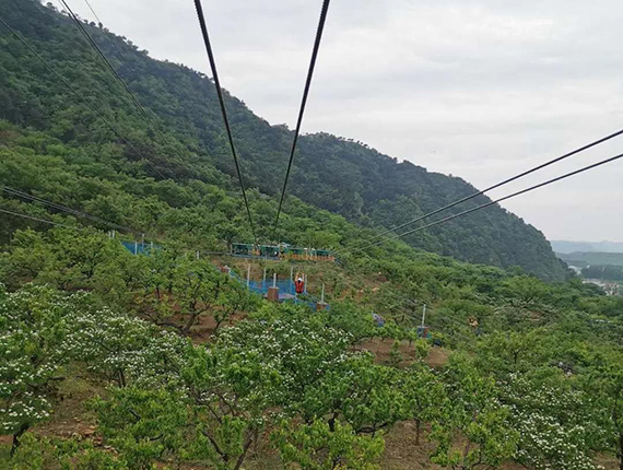 吉姆冒險(xiǎn)世界