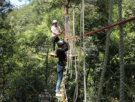 樹(shù)上探險(xiǎn)